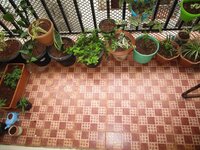 Balcony 2