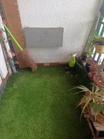 Balcony 1