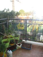 Balcony 3