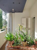 Sub Unit : balconies 1