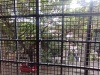 Balcony 1