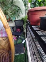 Balcony 1