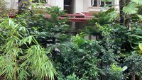 Garden 1