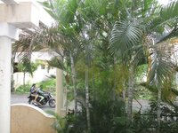Balcony 2