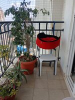Balcony 1