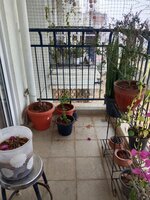 Balcony 1