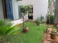 Front Yard 1
