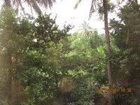 Balcony 1