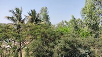 Balcony 1