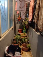 Balcony 2