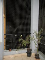 Balcony 2