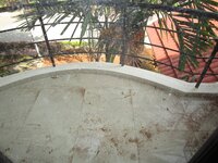 Balcony 1