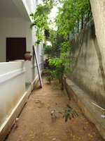 Garden 1