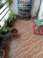 Balcony 1