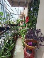 Balcony 2