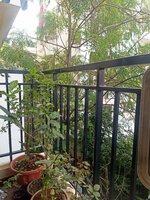 Balcony 1