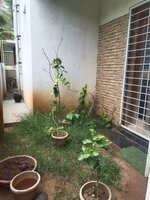 gardens 1