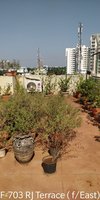 Terrace 1