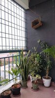Balcony 1