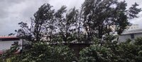 Balcony 1