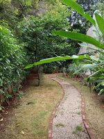 Garden 1