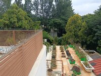 Terrace 1