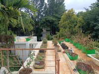 Terrace 1