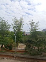 Balcony 1