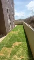 Garden 1