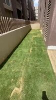 Garden 1