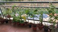 Balcony 1