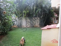 Garden 1