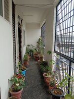 Hall 1
