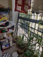 Balcony 1