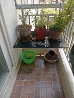 Balcony 1