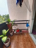 Balcony 1