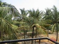 Balcony 1