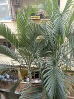 Balcony 2