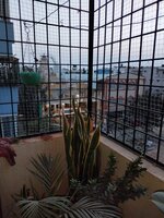 Balcony 1