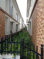 Garden 1