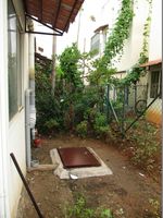 Garden 1