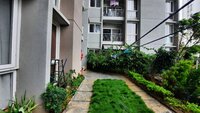 Garden 1
