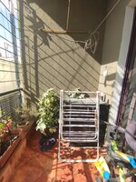 Balcony 1