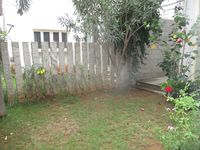 Garden 1