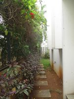 Garden 1
