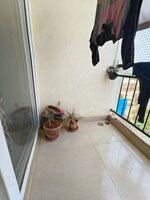 Balcony 1