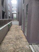 Garden 1