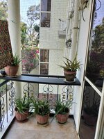 Balcony 1