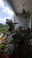 Balcony 1