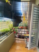 Balcony 1